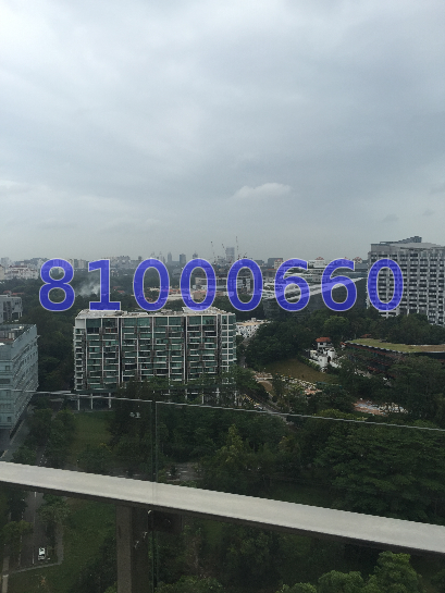 The Rochester Residences (D5), Condominium #38632012